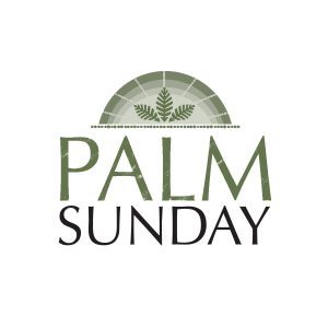 palm_29670c